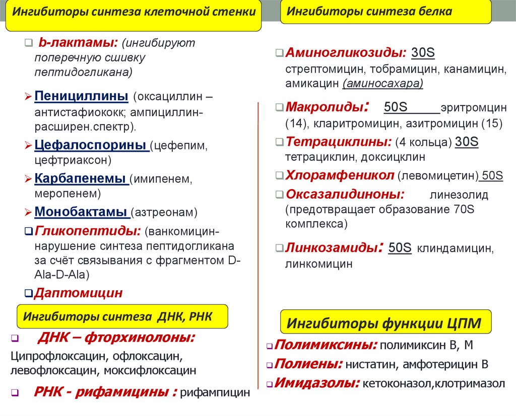 Ванкомицин Поколение Антибиотиков