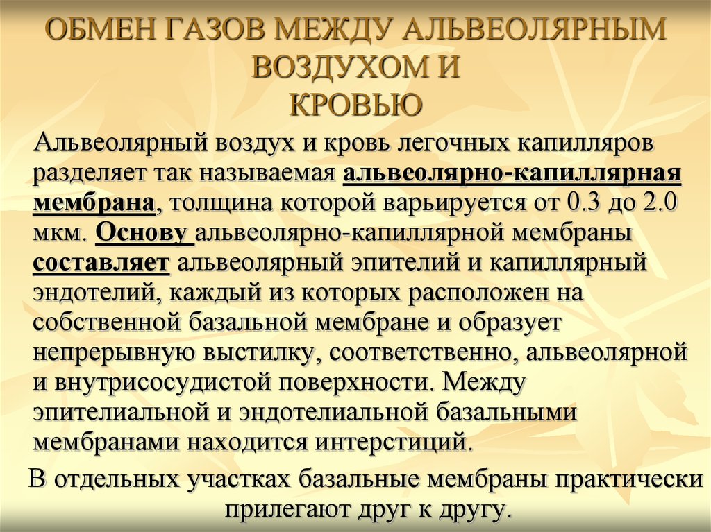 Газообмен между. Обмен газов между альвеолярным воздухом и кровью. Газообмен газов между альвеолярным воздухом и кровью. Газообмен между альвеолами и кровью. Механизм обмена газов между легкими и кровью.