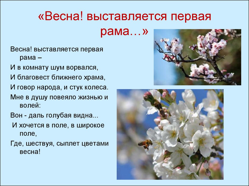 стих про весну. апрель природа. весенняя охота 2024 в смоленской области. подснежники в оранжерее. весеннее пробуждение природы.