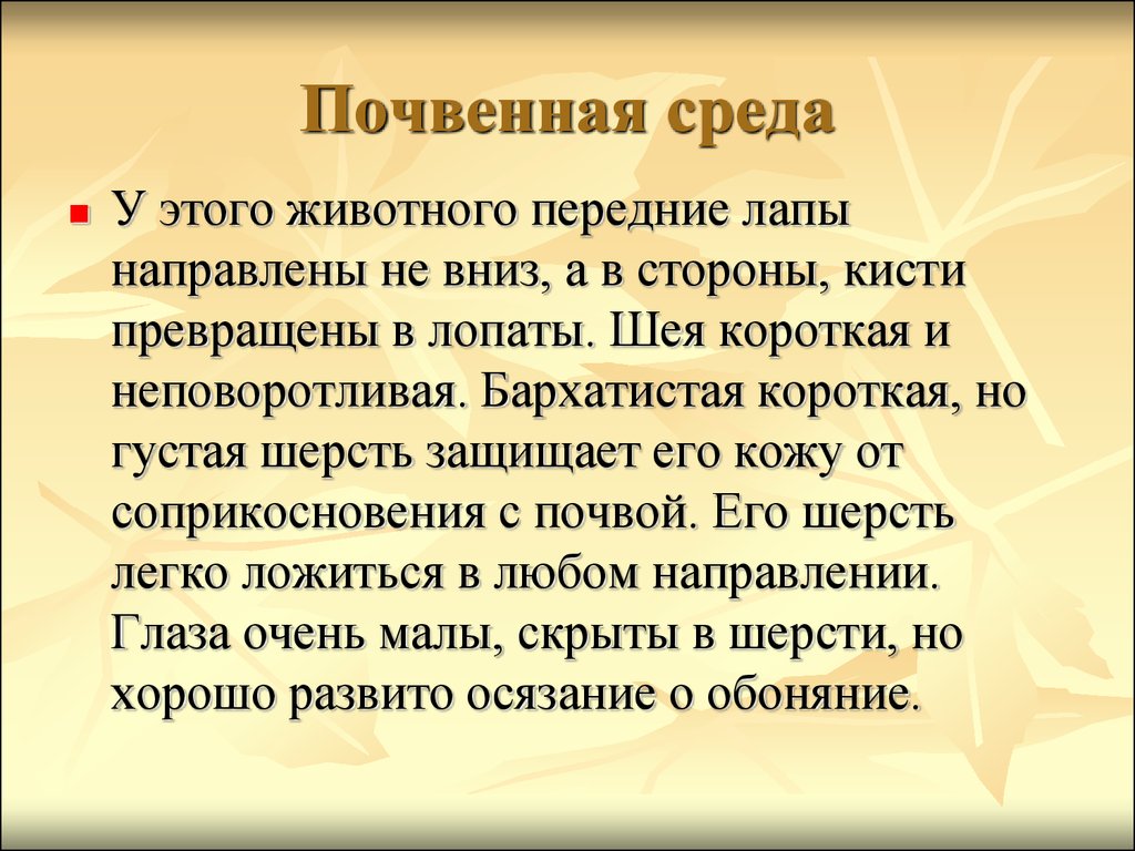 Условия почвенной среды 5 класс