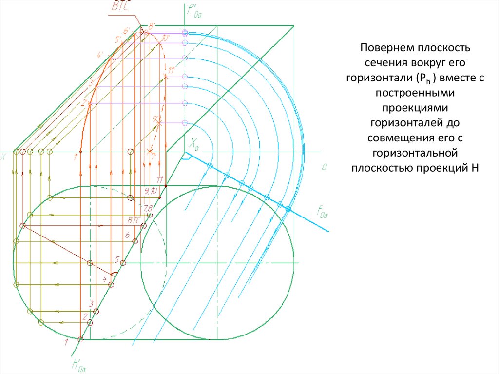 Сечение горизонталей. Сечение плоскостью. Проекция горизонтали. Сечение горизонтальными плоскостями.