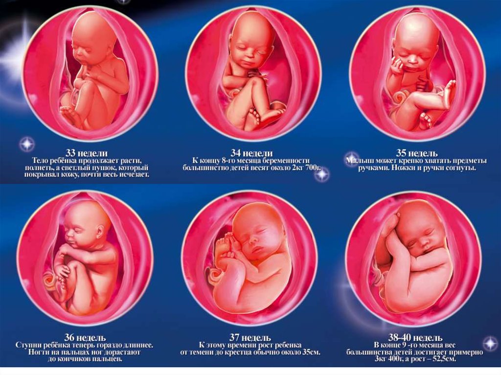 37 неделя что происходит с малышом. Вес ребёнка в 37 недель беременности. Вес плода в 36 недель. Вес реьенка 36недель.беременномти. Вес ребёнка в 30 недель беременности.