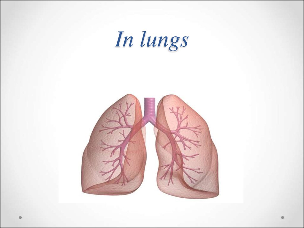 In lungs