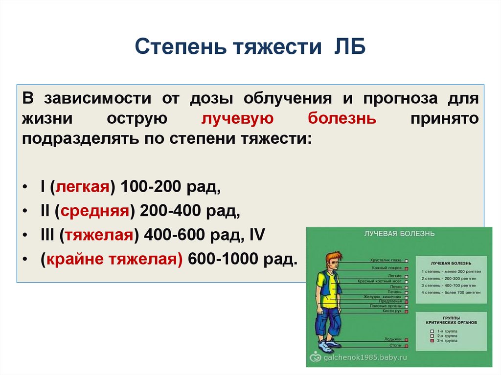 Острое облучение это облучение дозой. Облучения с дозой 200-400 рад..