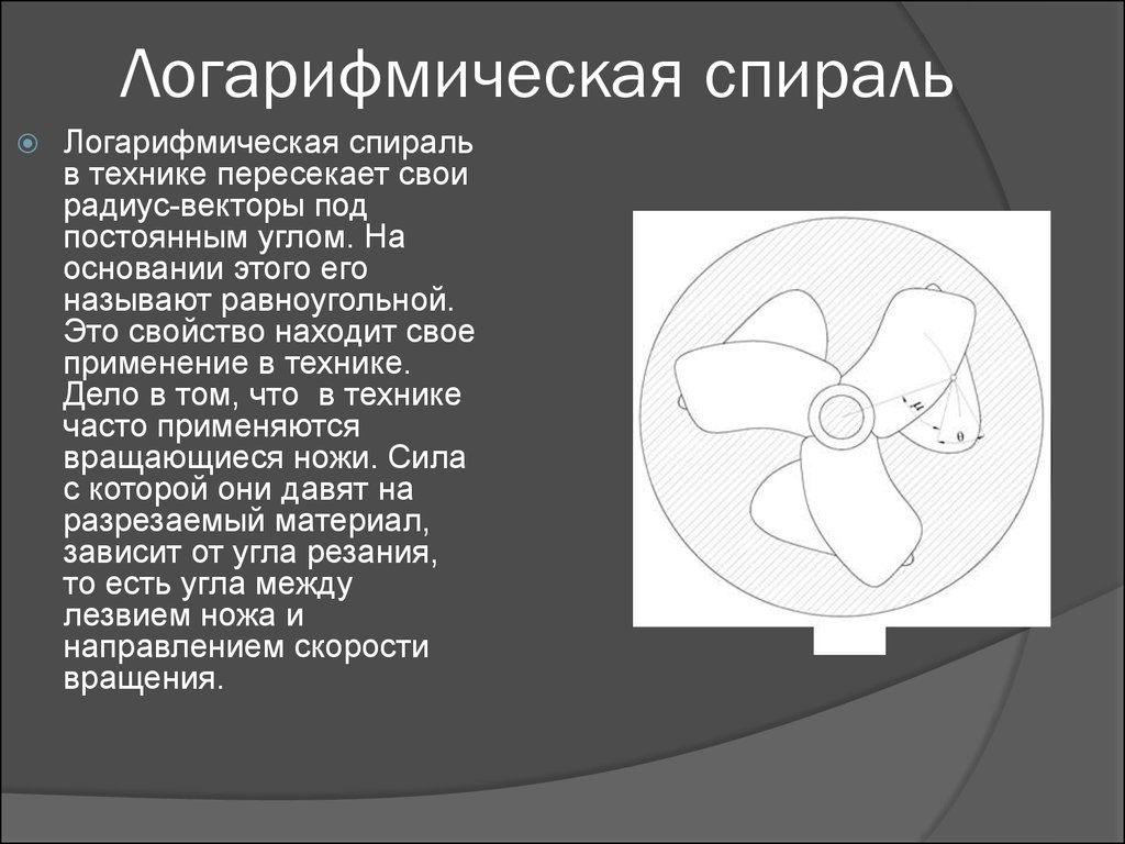 Логарифмическая спираль проект