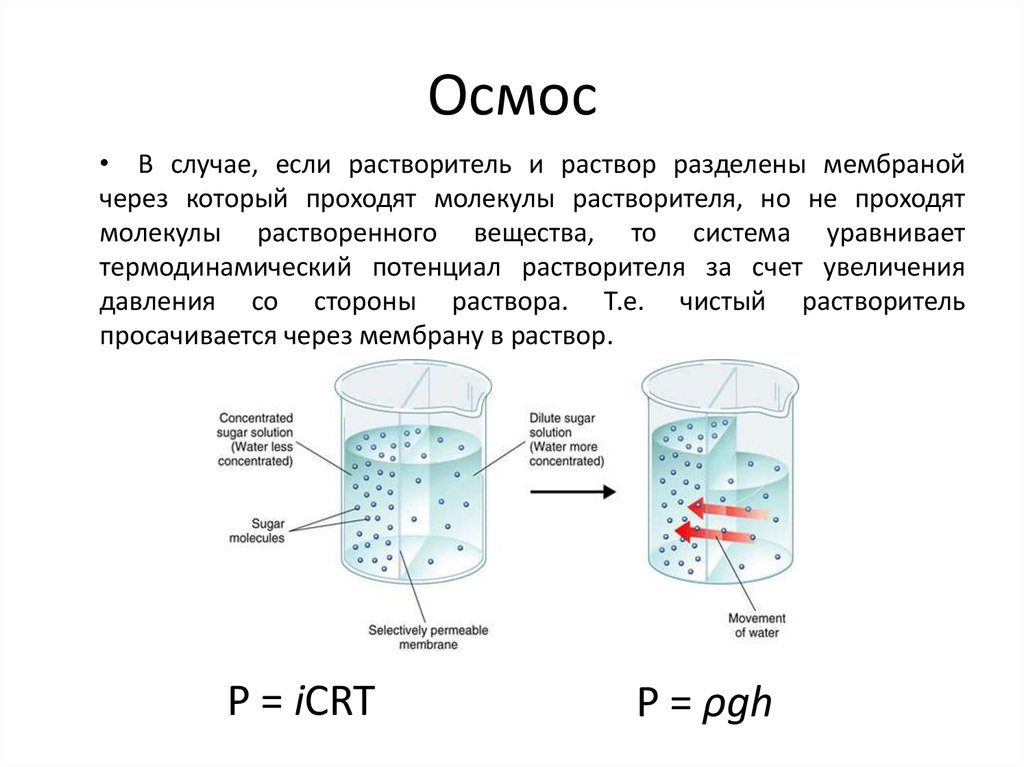 Осмос