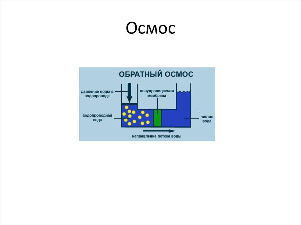 Сначала воск или осмос. Осмос. Осмос+дегеніміз+не. Топливная карта синяя осмос. Осмос физика доклад.