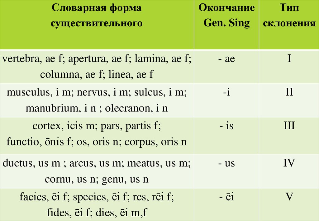 Словарная форма латынь. Словарная форма существительных в латинском языке. Словарная форма существительного. Род существительного в латинском языке. Словарная форма существительных латынь.