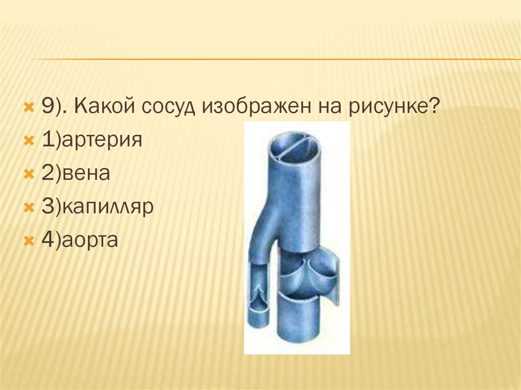 Какой сосуд изображен на рисунке. Какой сосуд изображён на рисунке. Какой сосуд изображен на рисунке? Артерия Вена капилляр аорта. Вена аорта артерия капилляры сосуды. Какой сосуд изображён на рисунке 1 артерия 2 Вена 3 капилляр 4 аорта.