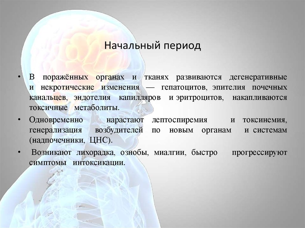 Первый этап открыли. Начальный период характеристика. Начальный период. Начальный период человека.