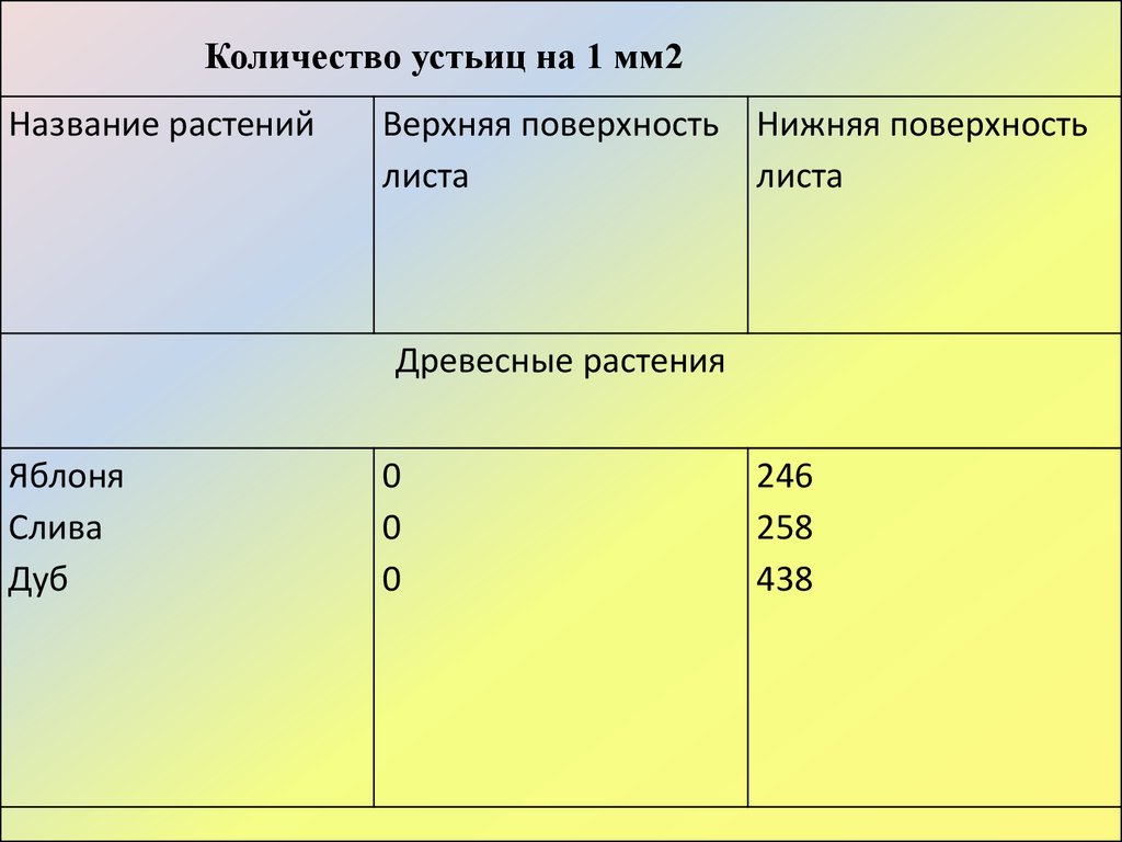 Верхняя поверхность листа. Количество устьиц. Площадь листовой поверхности. Количество устьиц на листе. Число устьиц на 1 мм 2 листа.