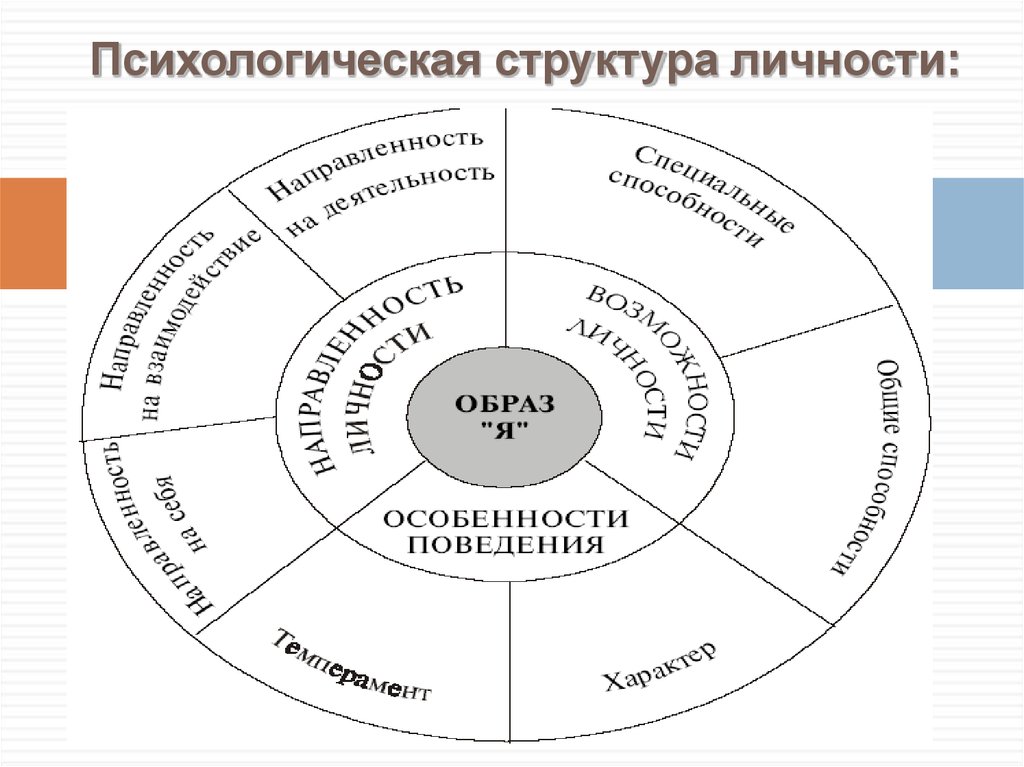 Социально психологическая сторона психологической структуры личности