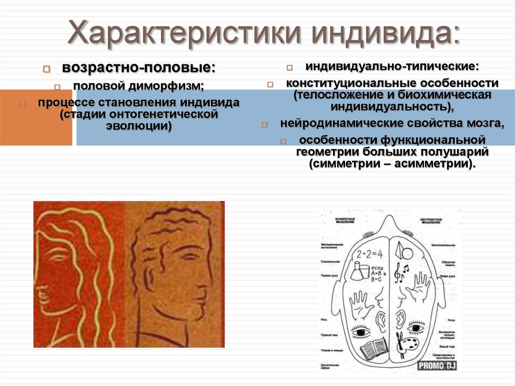 Характеристики относящиеся к индивиду