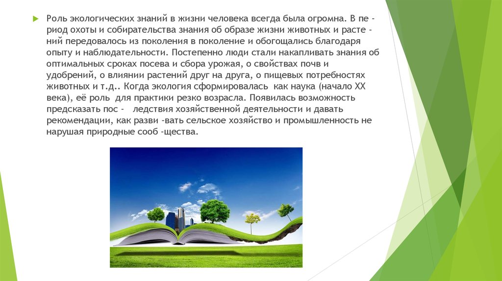 Что связано с экологичным образом жизни человека. Экологические знания в жизни человека. Роль экологии в жизни человека. Экологичный образ жизни. Важность экологии в жизни человека..