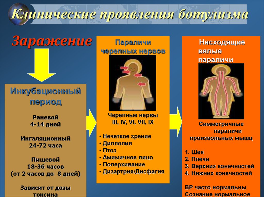 Симптомами ботулизма являются