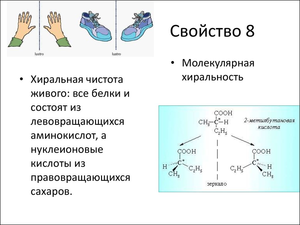 Хиральность это