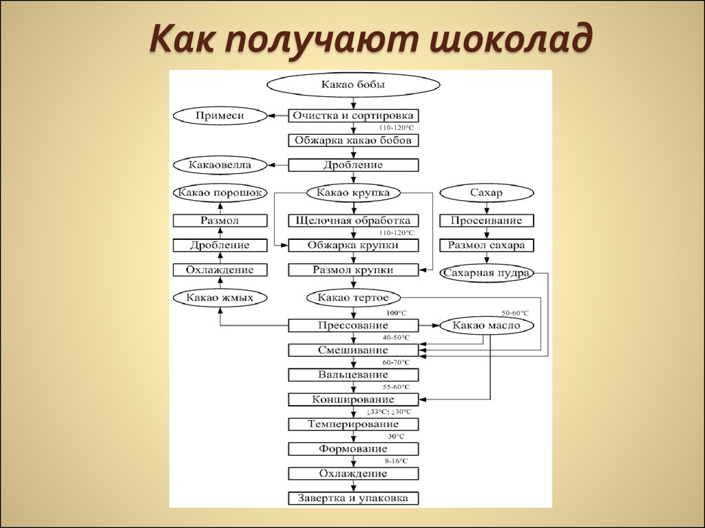 Технологическая схема первичной переработки какао бобов включает