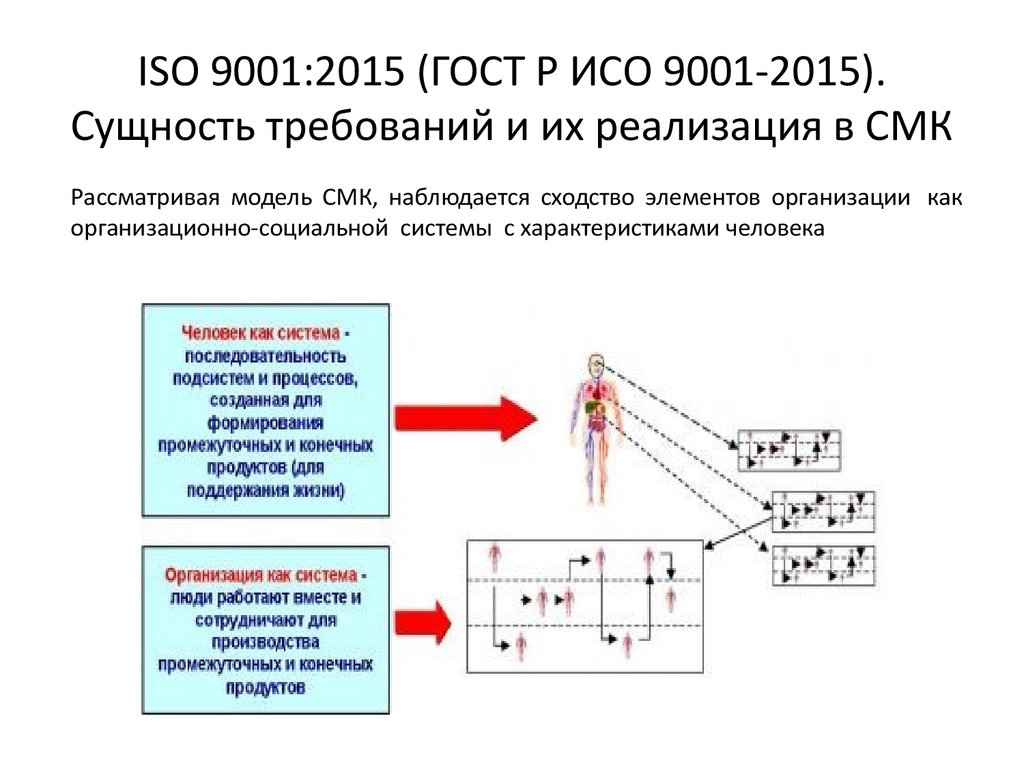 Iso 9001 схема