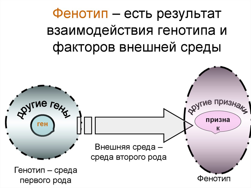 Проект возникает существует и развивается в определенном окружении называемом внешней