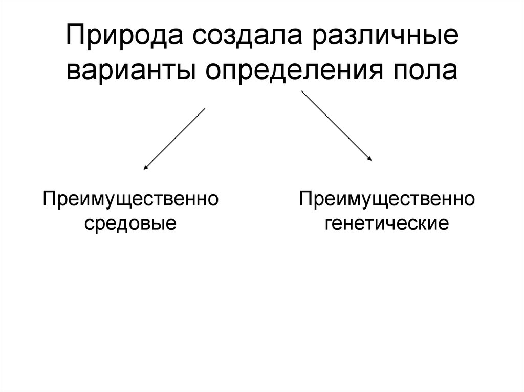 Проекты улучшения природы человека трансформация пола