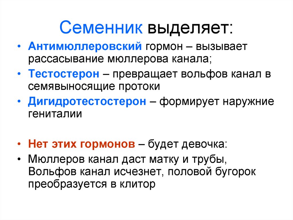 Формирование пола. Семенники гормоны. Семенники гормоны и функции. Функции гормонов семенников. Гормоны яичек и их функции таблица.