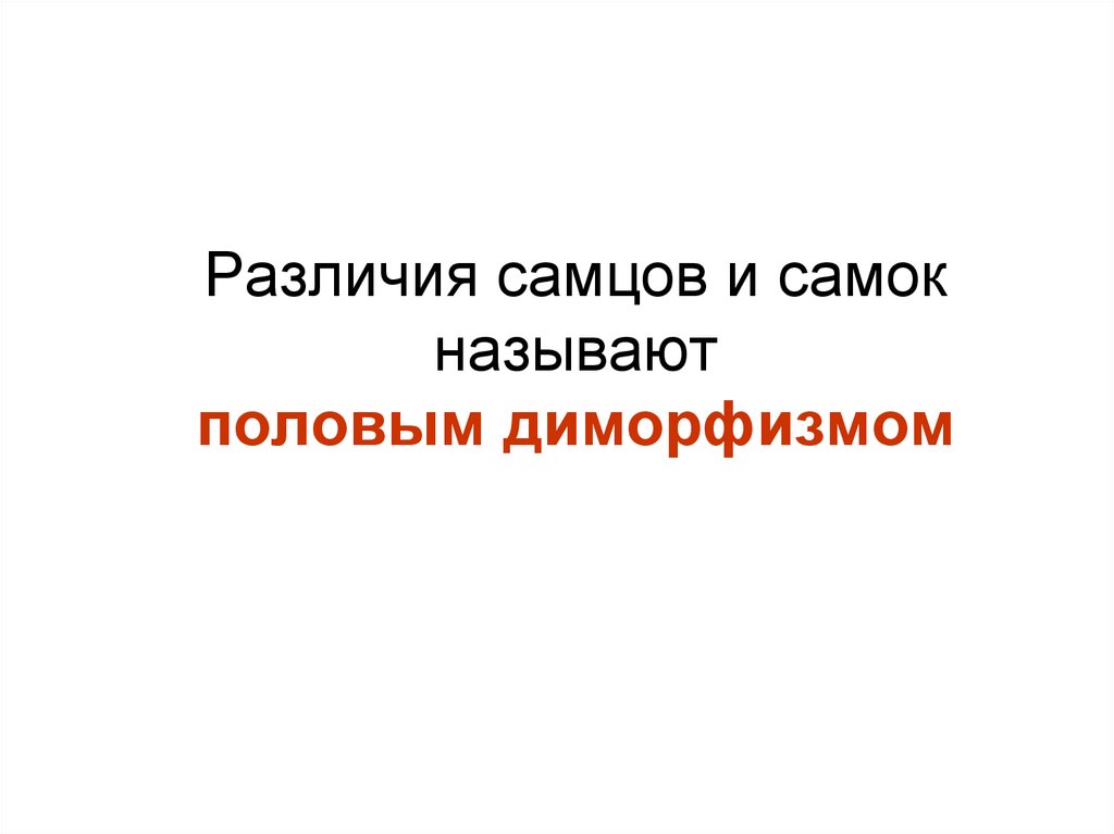 Полом называют. Самец и самка различия. Половой диморфизм мозга. Различие в размерах самки и самца. Женская особь называется.