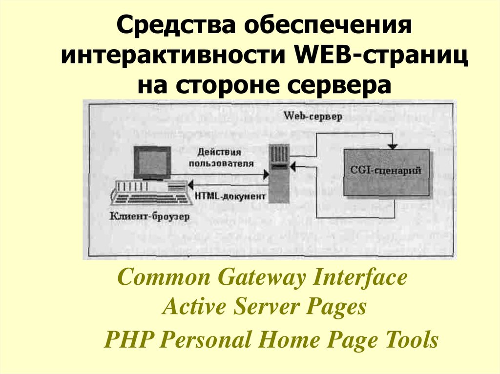 Средства просмотра web. Интерактивные элементы веб страниц. Презентация web технологии. Шифрование веб-страниц:. Common Gateway interface.