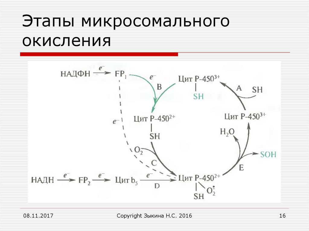 Схема микросомального окисления биохимия