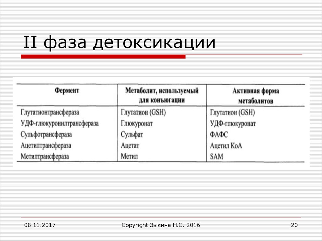 Вторая стадия. Фазы детоксикации печени. 2 Фаза детоксикации печени. Фазы детоксикации печени биохимия. Этапы детоксикации в печени.