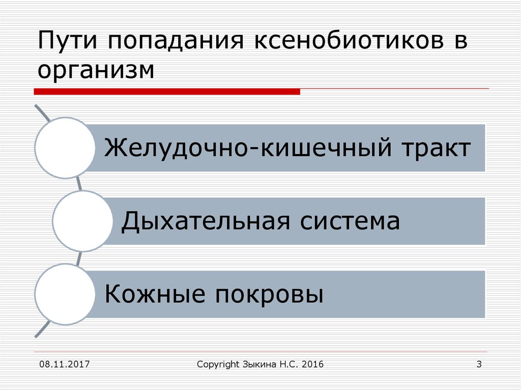 Попадания в организм. Пути поступления ксенобиотиков в организм. Назвать пути поступление ксенобиотиков в организм.. Пути выведения ксенобиотиков из организма человека. Пути поступления ксенобиотиков, метаболизм, пути выведения.