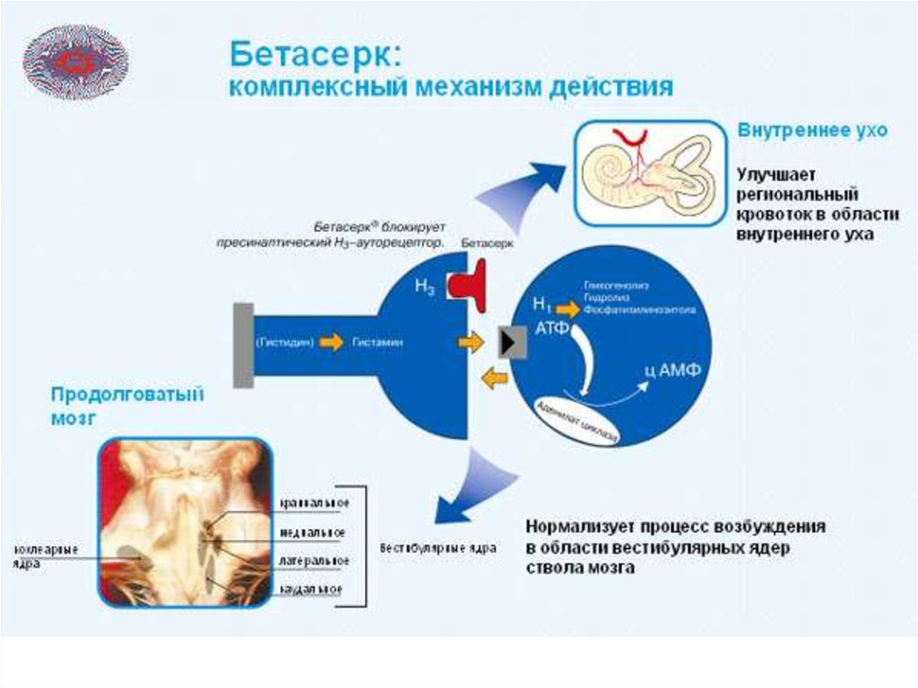 Заболевания внутреннего уха презентация