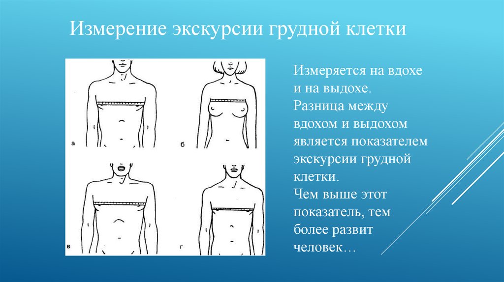 Площадь поверхности грудной клетки у человека. Измерение грудной клетки на вдохе и выдохе. Измерение экскурсии грудной клетки. Экскурсия грудной клетки. Экскурсия грудеой клет.