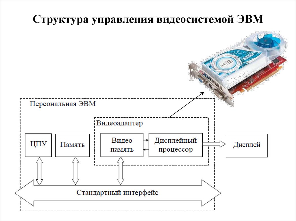 Управляемые компьютером устройства. Техническая структура ЭВМ. Органы управления ПК. Видеосистема ЭВМ. Иерархия управления ЭВМ.