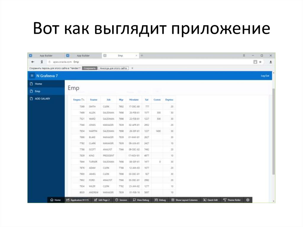 Как выглядит приложение в проекте