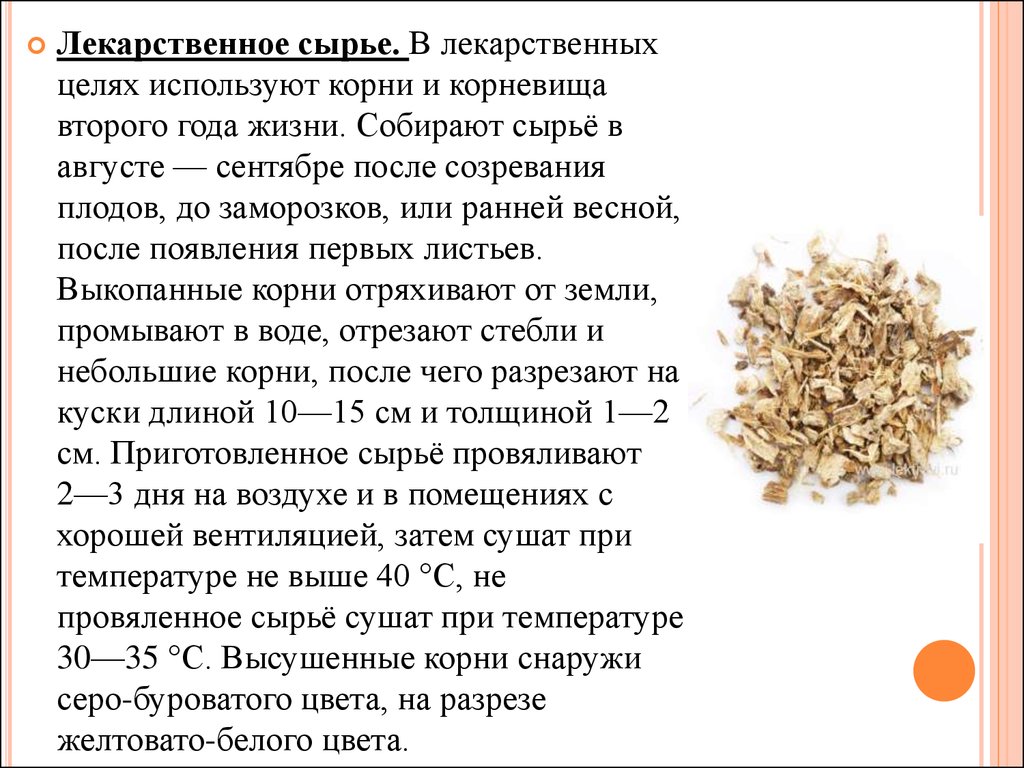 Использовать корень. Минеральное лекарственное сырье. Характеристика лекарственного сырья. Лекарственное животное сырье. Лекарственное сырье плоды список.