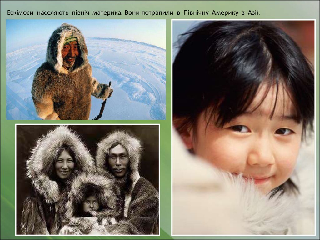 Ескімоси населяють північ материка. Вони потрапили в Північну Америку з Азії.