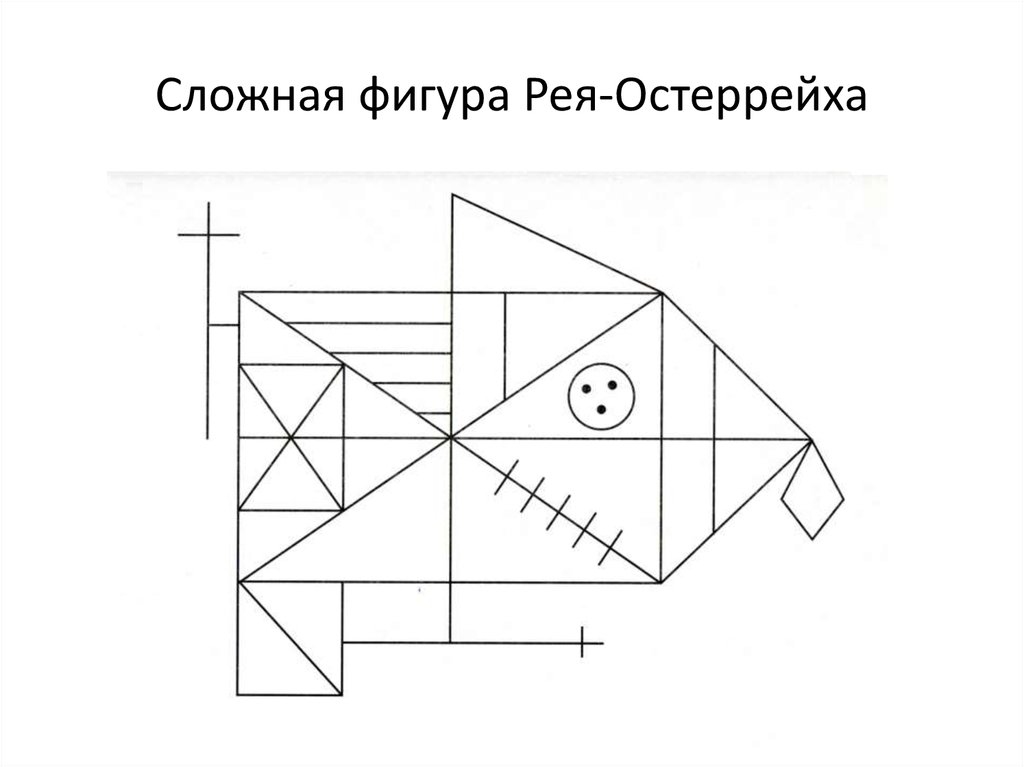 Сложная фигура определение. Фигуры Тейлора и Рея Остеррица. Фигура Рея-Остеррица. Фигура Рея Тейлора. Копирование фигур Рея Остеррица и Тейлора.