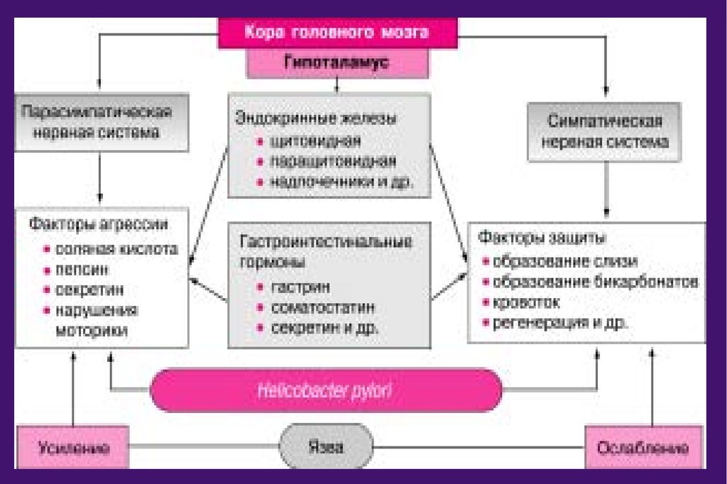 Схема лечения язвы желудка и двенадцатиперстной кишки медикаментами для врачей