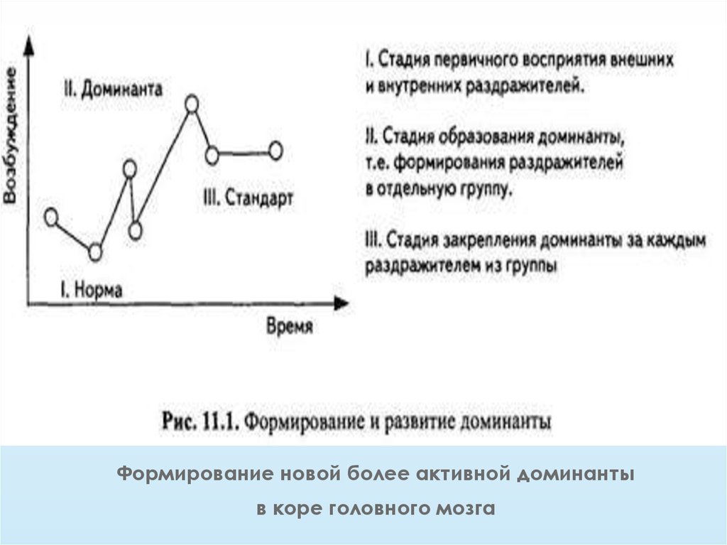 Старый доминант