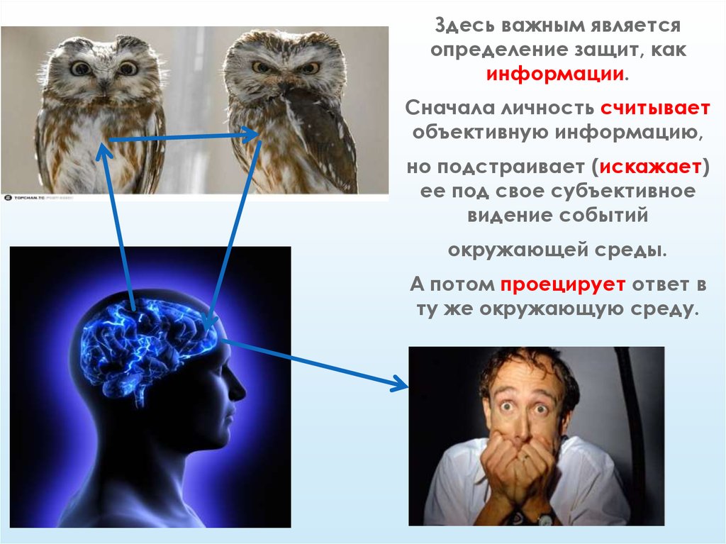 Субъективный образ объективного. Субъективный образ объективного мира. Субъективное изображение. Объективный и субъективный мир. Объективная реальность примеры.