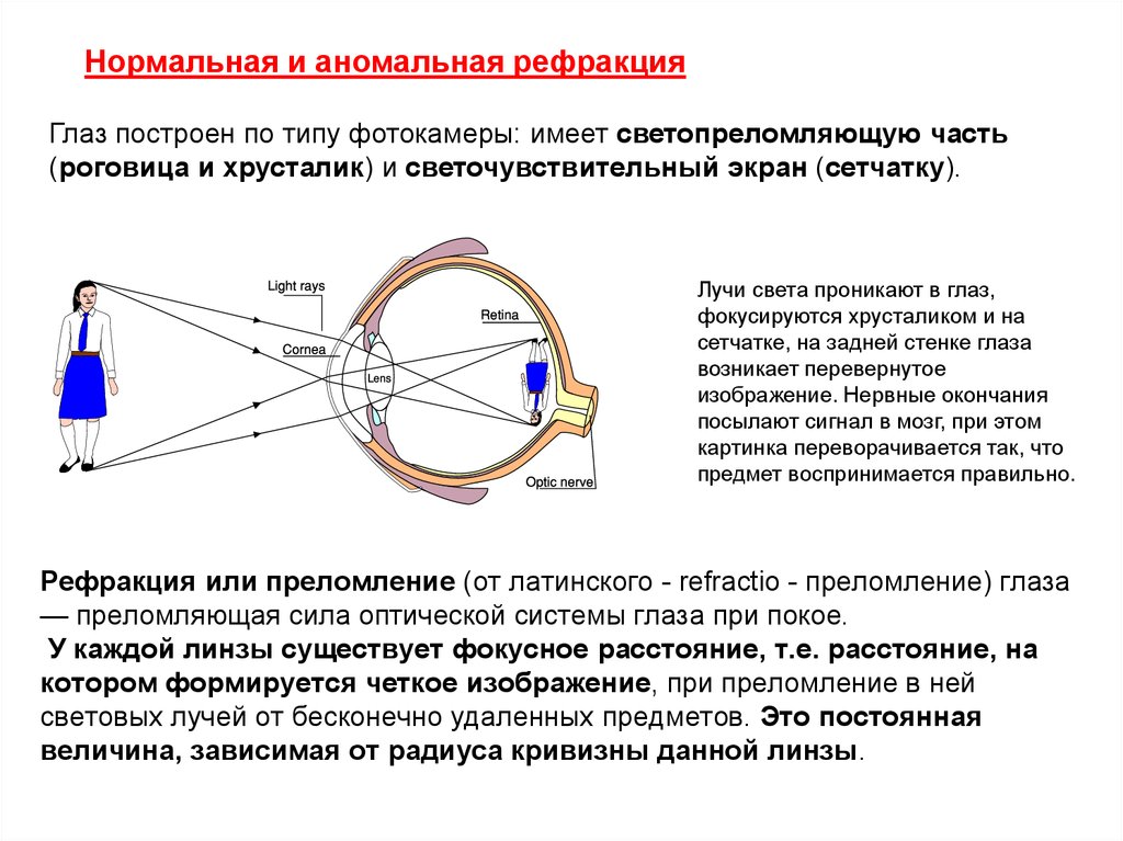 Механизм работы зрительного анализатора гигиена зрения. Оптическая система глаза и рефракция. Преломляющая сила оптической системы глаза. Оптическая система глаза хрусталик. Рефракция хрусталика глаза.