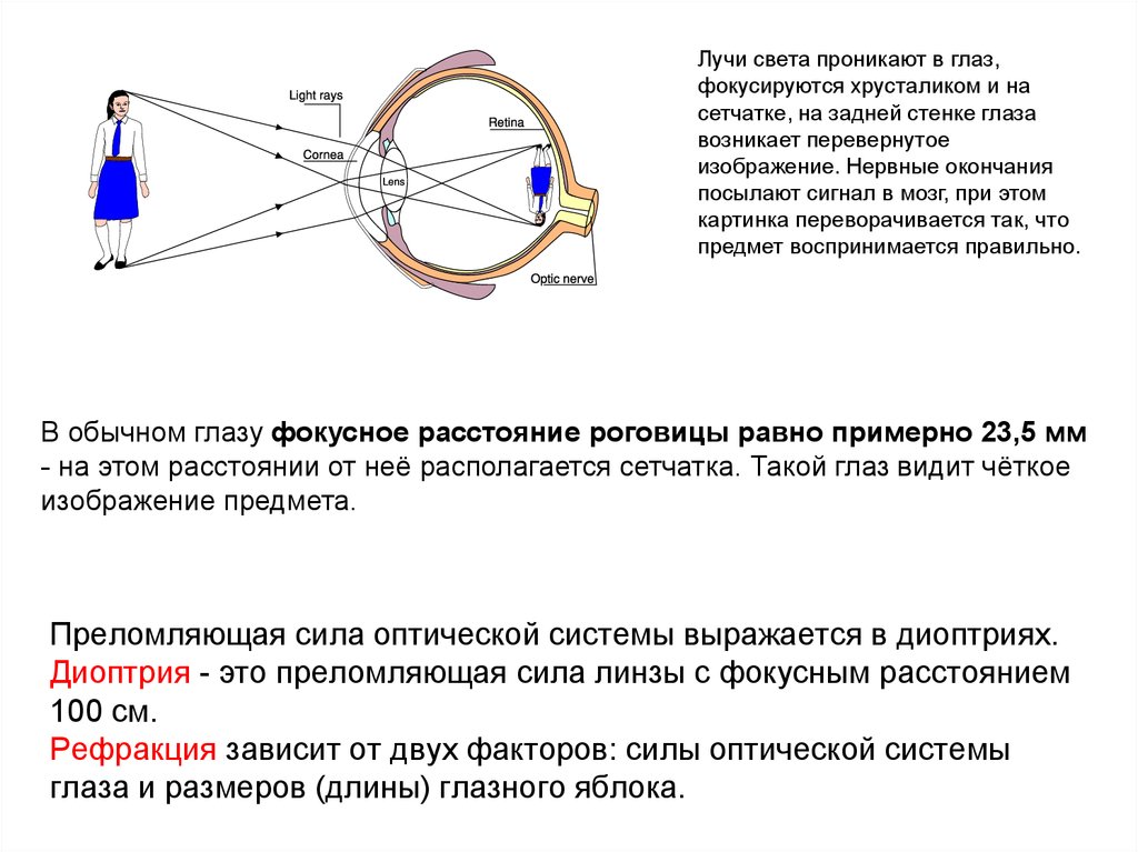 Схема преломления лучей хрусталиком глаза при рассматривании близко и далеко