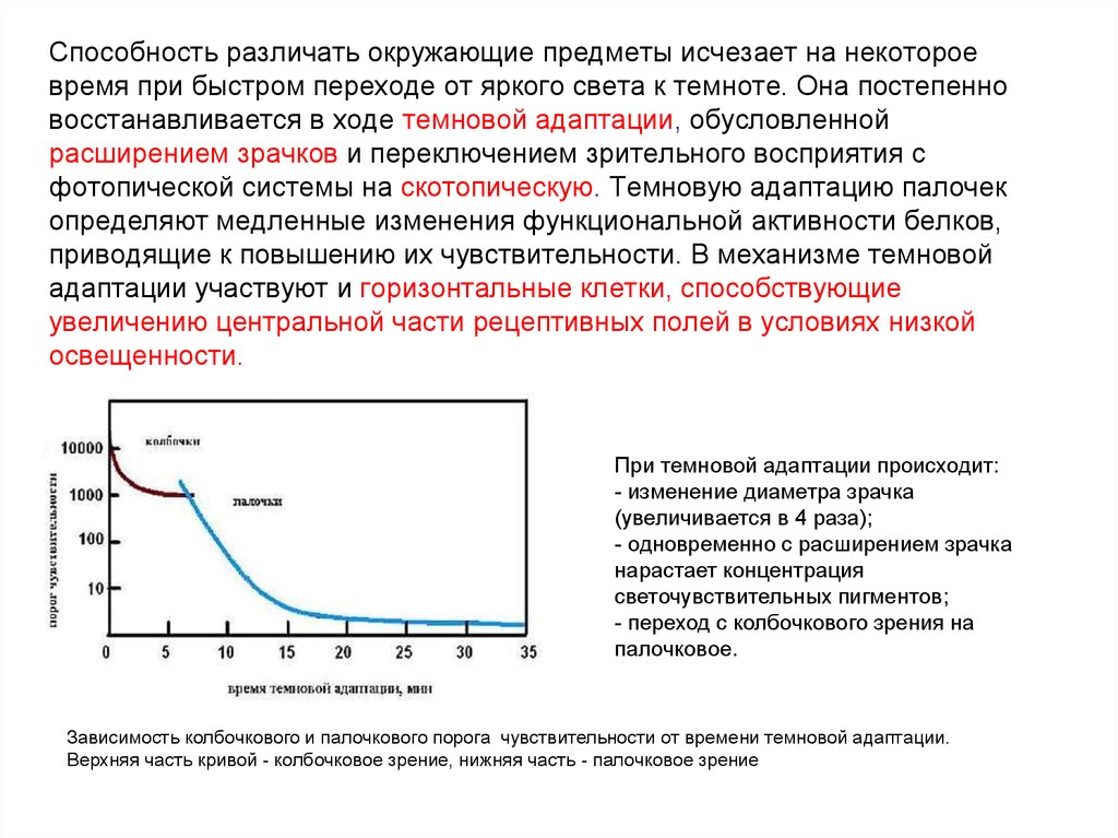 Будет некоторое время в. Определение времени Темновой адаптации. Кривая Темновой адаптации. Время Темновой адаптации определяется. Методы исследования Темновой адаптации.