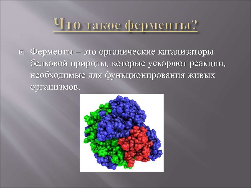 Катализаторы органических соединений. Ферменты. Ферменты биологические катализаторы. Биологические катализаторы белковой природы. Ферменты - белковые катализаторы.