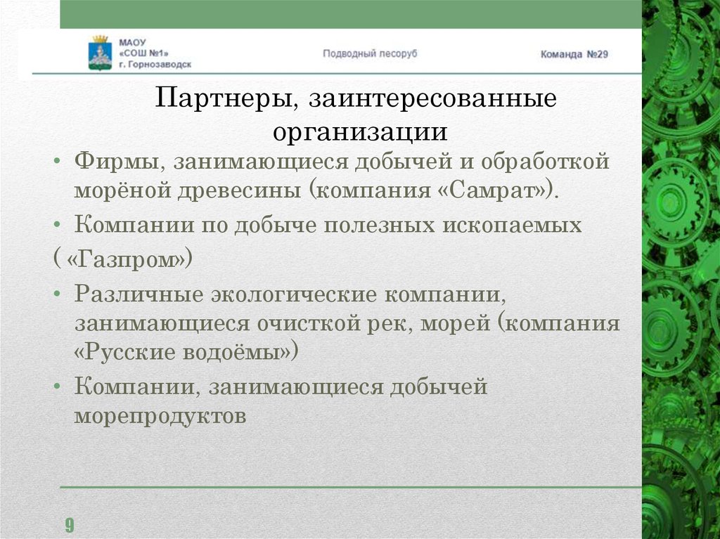 Партнеры, заинтересованные организации