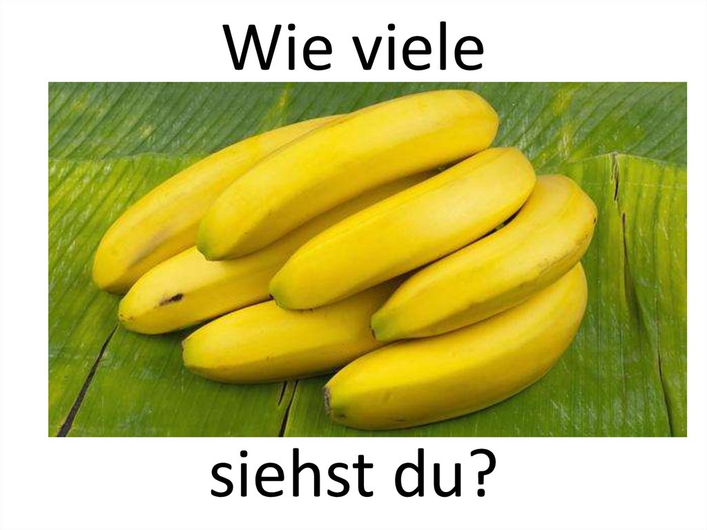 Wie viele siehst du?
