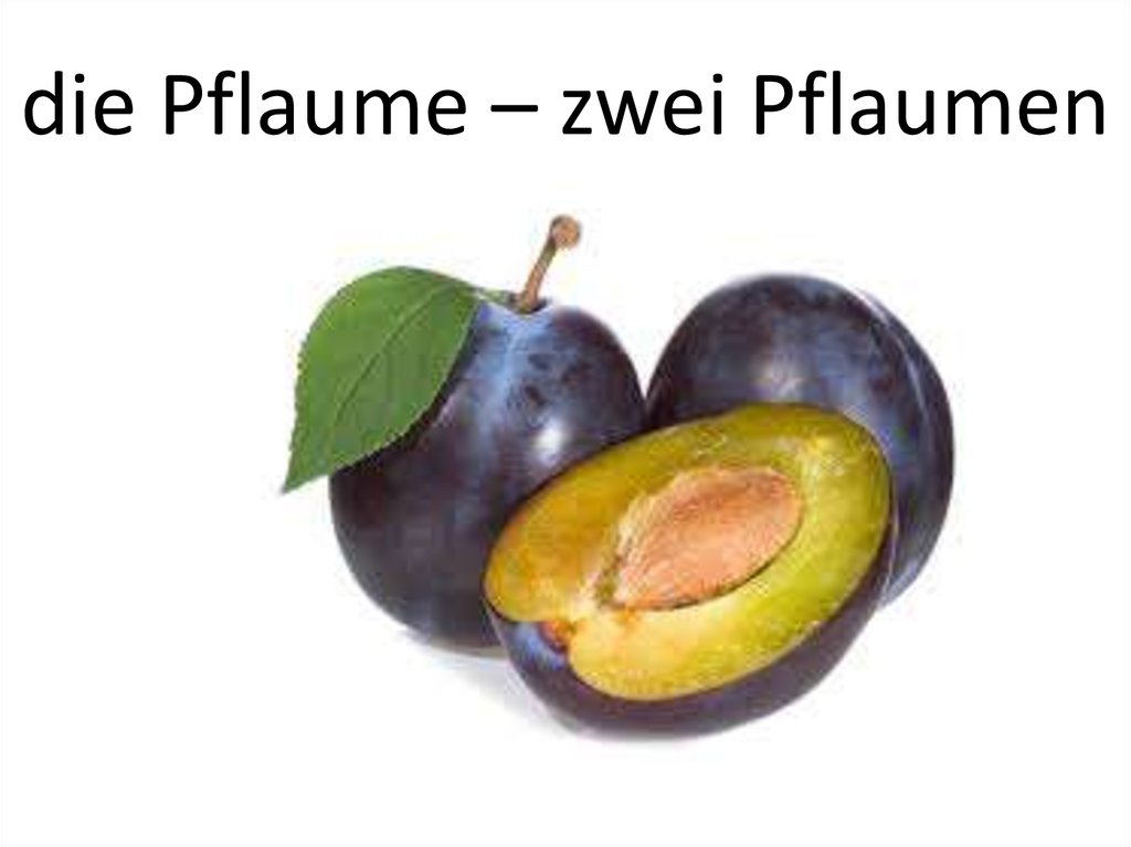 die Pflaume – zwei Pflaumen