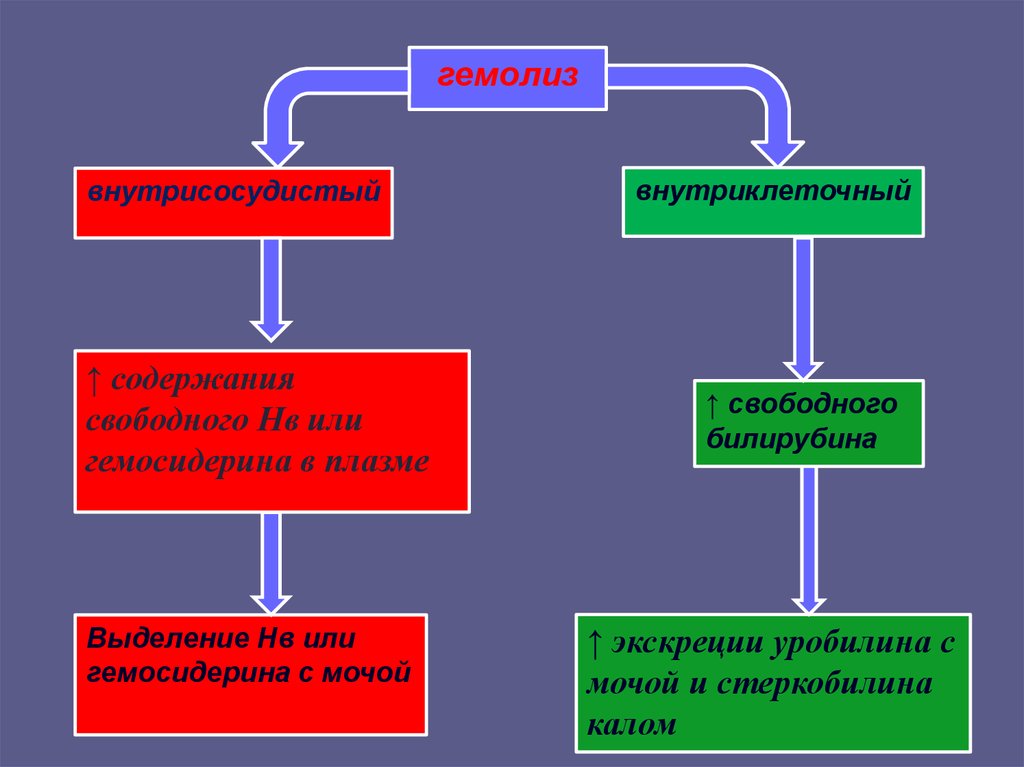 Гемолиз это. Внутриклеточный гемолиз характерен для тест. Гемосидерин и билирубин. После вакцины внутриклеточный гемолиз. Взаимоотношения полярности и экскреции.