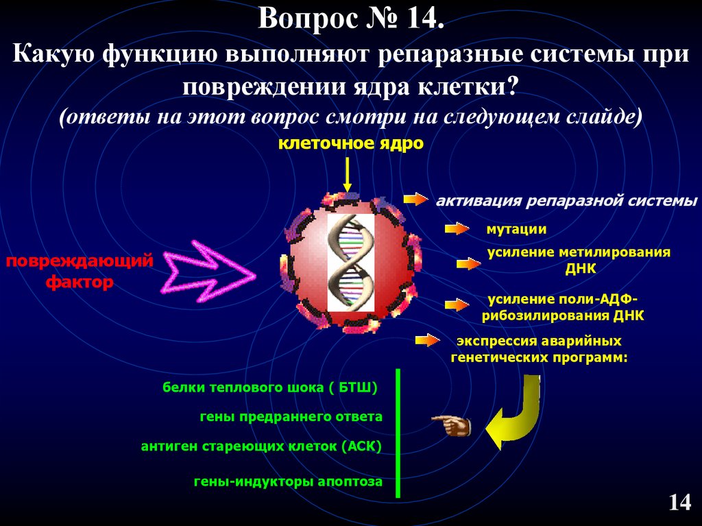 Вопросы клетки ответьте на вопросы