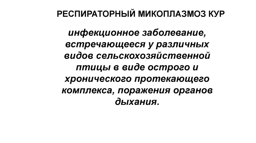 Симптомы микоплазмоза. Микоплазма галлисептикум кур. Респираторный микоплазмоз кур. Респираторный микоплазмоз цыплята. Респираторный микоплазмоз инфекционные болезни.